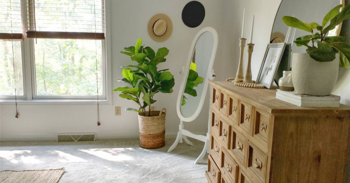 Our New Carpet Blog Article Brittany Kay Interior Decorating - Home Decorators Collection Soft Breath Ii Reviews Our New Carpet Blog Article Brittany Kay Interior Decorating - Home Decorators Collection Soft Breath Ii Reviews