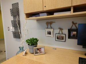Frames, plant view